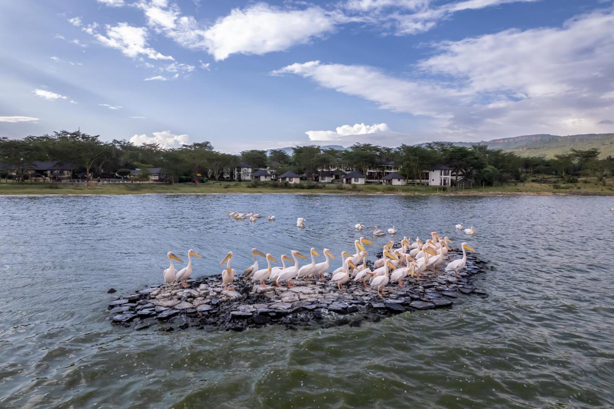 Sentrim Elementaita Lodge Elmenteita Экстерьер фото